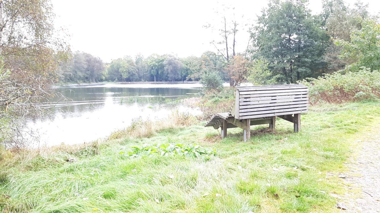 Ferienhaus Am See Lichtenberg Bayern Frankenwaldsee Villa Esterno foto